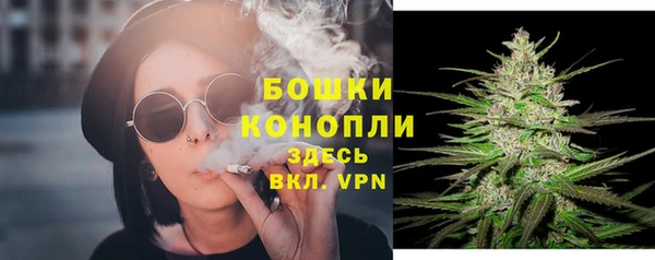 прущая мука Иннополис