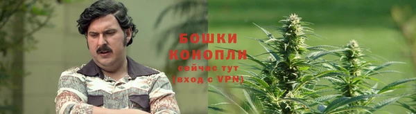 мдпв Каменногорск