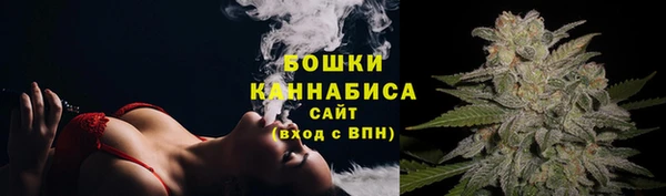 2c-b Инсар