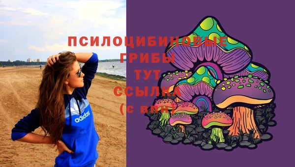 2c-b Инсар
