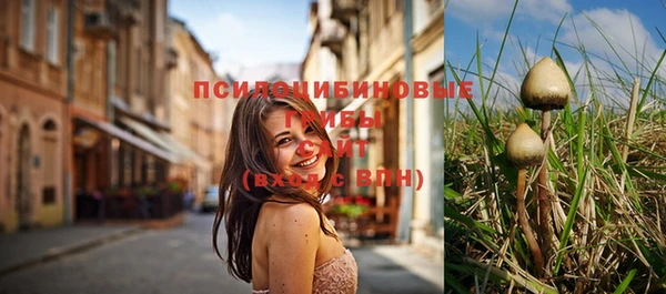 прущая мука Иннополис