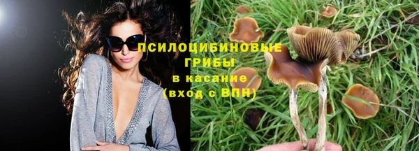 прущая мука Иннополис