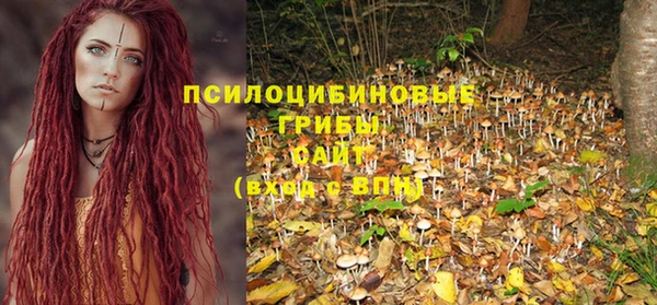 прущая мука Иннополис
