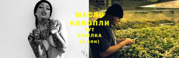2c-b Инсар