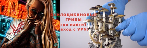 ALPHA PVP Инта