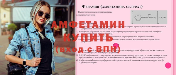 2c-b Инсар