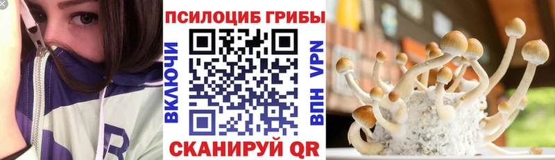 Псилоцибиновые грибы Psilocybe  Купить закладки  Кохма 